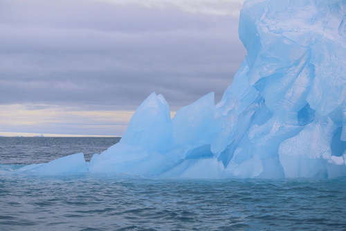 Ice. Перевод Ice. Изучение