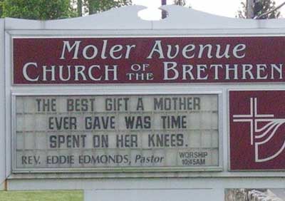 moler avenue